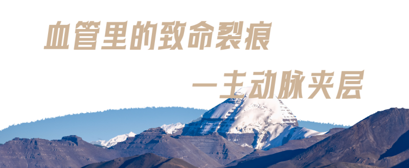 微信图片_2025-08-01_144800_860.png 微信图片_2025-08-01_144800_860.png