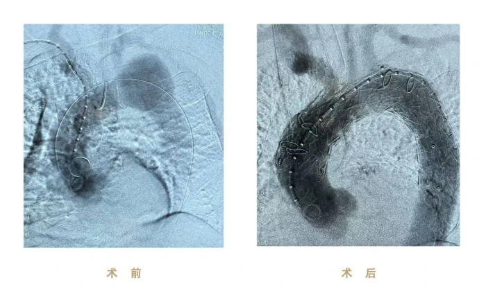 图片 2.png 图片 2.png