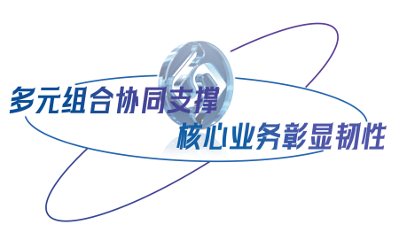 多元组合协同支撑 核心业务彰显韧性.png